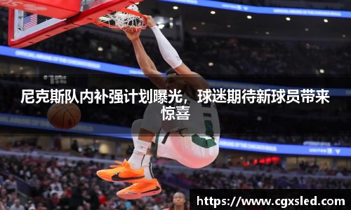 尼克斯队内补强计划曝光，球迷期待新球员带来惊喜
