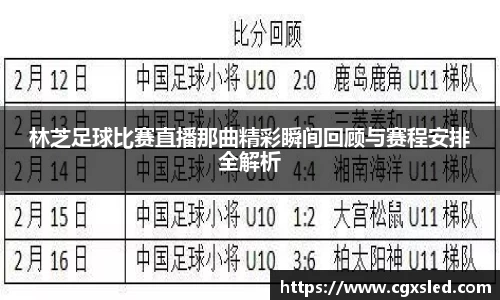 林芝足球比赛直播那曲精彩瞬间回顾与赛程安排全解析