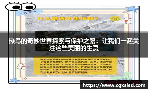 热鸟的奇妙世界探索与保护之路：让我们一起关注这些美丽的生灵